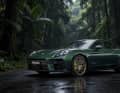 Porsche Panamera 4 E-Hybrid, Sondermodell 75 Jahre Porsche Australien „Go North”