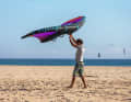 Release the back hand and let the wing hover in the neutral position above your head