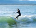 2. Sequenz Wave - Board Fooloom Black Zooma 9'6"