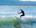 3. Sequenz Wave - Board Fooloom Black Zooma 9'6"