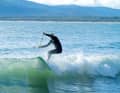 4. Sequenz Wave - Board Fooloom Black Zooma 9'6"