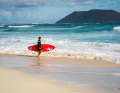 SUP Spotguide Fuerteventura