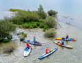 Small bays that want to be discovered - the Forggensee has surprises around every corner.