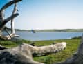 The US West Coast is known as a wave destination at best, but there is also a tame side to discover at spots like Floras Lake.