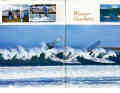 Die Highlights in surf 7/2008