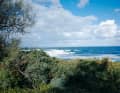 In addition to pizzerias, Sardinia also has a variety of good wave spots to offer