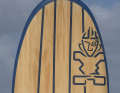 Der Starboard Carve 119 Wood Sandwich im surf-Test