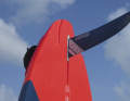 Der Starboard Carve 119 Wood Sandwich im surf-Test