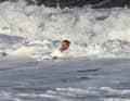 Close your mouth! PFAS is most dangerous when swallowed via sea foam
