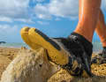 When delicate office feet encounter shells, stones or coral, unpleasant cuts are inevitable. Thin neoprene shoes offer protection, but also enough feel for the board