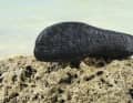 The rubber on the sole extends well up onto the instep and provides excellent protection for the entire front of the foot, including against hazards from above, such as the fin.