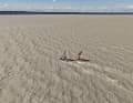 Don’t 
let the colour of Lake Neusiedl put you off – the water quality is exceptionally good.