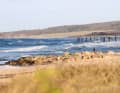 ...und natürlich die Ostsee – Ostholstein kann sich sehen lassen.