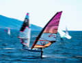 Seatbelts must be worn in winds of 14 knots. Freerace foiling is a strenuous sport even in light winds. Pictured here with an 800 Starboard Racefoil and a Tabou Fifty 125.
