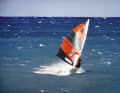 In 1976, Heinz Stickl was one of the pioneers of windsurfing and soon set up his sports camp on Lake Garda