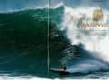 The highlights in surf 10/2008