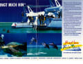 Die Highlights in surf 06/2004