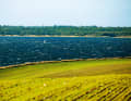 Or it might be a session on local waters where everything just falls into place.