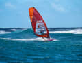 Flat water power with manoeuvring genes - these are freemove sails. We tested seven 2023 models!