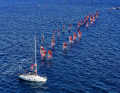 The race committee can choose between course race, sprint slalom and marathon