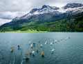 The best pictures from the "Best of 3" Foil Freestyle Event at Lake Silvaplana