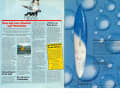 Das waren die Highlights in surf 8/1983