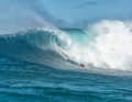 The best pictures from Jaws from 24 November