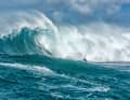The best pictures from Jaws from 24 November