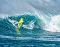 Die besten Bilder aus Jaws vom 24. November
