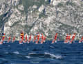 Young surfers: More than 420 starters took part in the Junior European Championships in iQFoil on Lake Garda