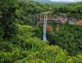 Welcome to the Jurassic Park of reality - the Chamarel waterfalls are absolutely cinematic.