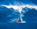 In Sven Hoffmanns Buch adelt ihn sogar eine Laudation von Altmeister Robby Naish: „Andy war immer einer dieser echten Typen. Er liebt es zu surfen, er liebt das Leben am Strand und er liebt das Nightlife. Er war professionell genug, um alles auf die Reihe zu bringen, hatte gute Sponsoren, ein paar gute Resultate auf dem Wasser und hatte dabei auch außerhalb des Wassers den größten Spaß von allen auf der Tour. Er hat einen immer zum Lachen gebracht... nicht über ihn, sondern mit ihm. Those were the days – go Laufer.“    Text: Andreas Erbe,