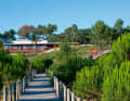 The new hotel nestles inconspicuously between dunes and pine trees.
