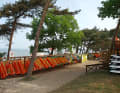 Nah und gut: An Nord- und Ostsee bieten viele Surfcamps beste Voraussetzungen für Anfänger, Aufsteiger und Cracks.