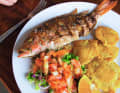 Lecker! Red Snapper con Patacone