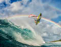 Die Bilder von Fish Bowl Diaries sind in der Windsurf-Welt allgegenwärtig.
