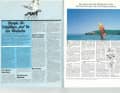 Die Highlights aus surf 4/1981