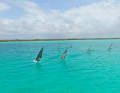 PWA Youth World Cup Bonaire 2026 – the best photos