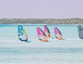 Tycho Smits, then the three De Jong sisters - this picture was frequently seen on Bonaire