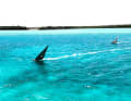 PWA  Bonaire Youth Slalom World Cup