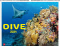 The "Dive 2024" calendar