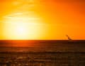 In Geraldton in Westaustralien lief Mitte Januar die erste Wave Rally - mit grandioser Stimmung