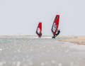 Ob im Flachwasser-Labor von Dakhla...