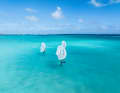The Concept Blue Wings are to be produced more sustainably