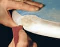 The classic method for repairing damage to the board: