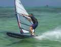 Der Starboard Carve 119 Wood Sandwich im surf-Test