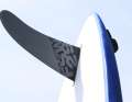 ...and a good tail fin for gliding
