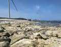 At the top spot, Hanstholm, the stony seabed is strewn with shells. Wearing shoes makes getting in and out of the water much easier and more comfortable.