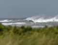 At the beginning of August, a heavy summer storm created conditions that are normally only experienced in winter