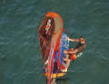 Rémi competed in contests for a long time himself, which is how Starboard came to notice him